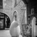 Un huevo / An egg by jborrases