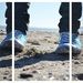 beach triptych  by spanner
