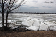 1st May 2014 - The River  Ice started to crawl out of it's bed.