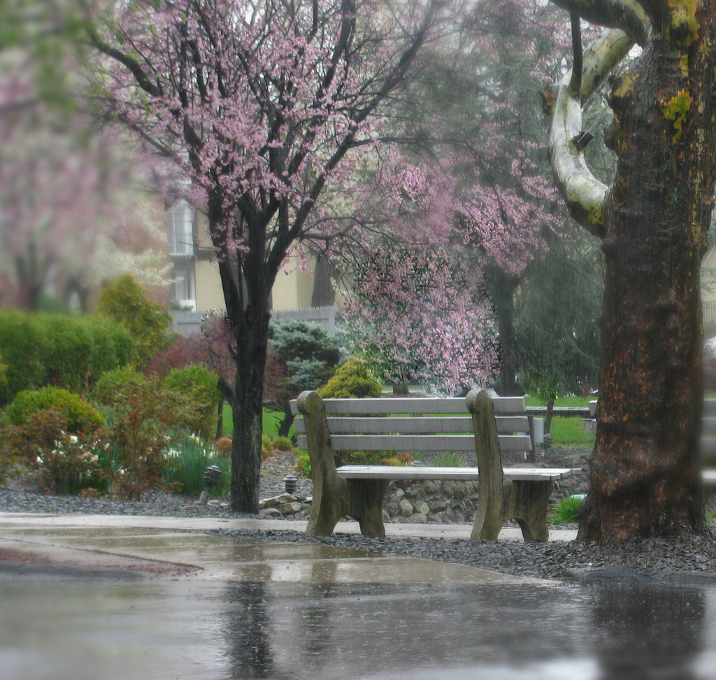 Rainy Day by april16