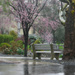 Rainy Day by april16