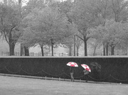 30th Apr 2014 - Vietnam Memorial 