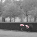 Vietnam Memorial  by khawbecker
