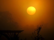 30th Apr 2014 - Sunrise on a misty morning