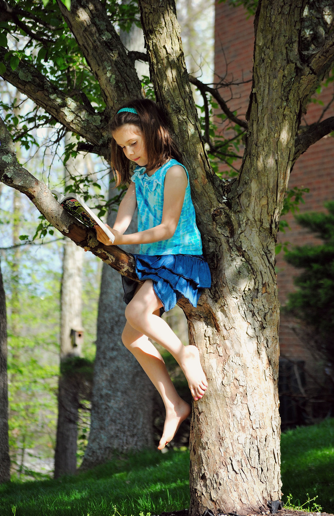 She Took Climb a Tree Literally by alophoto