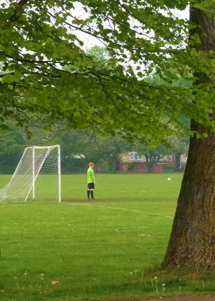 Lonely goalie by lellie