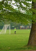 29th Apr 2014 - Lonely goalie