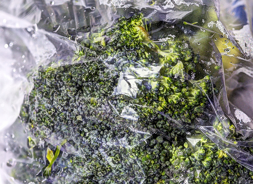 Bagged Broccoli by gardencat