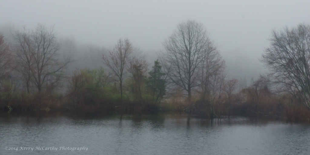 Foggy morning by mccarth1