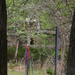 Fairy Folk May Pole  by bellasmom