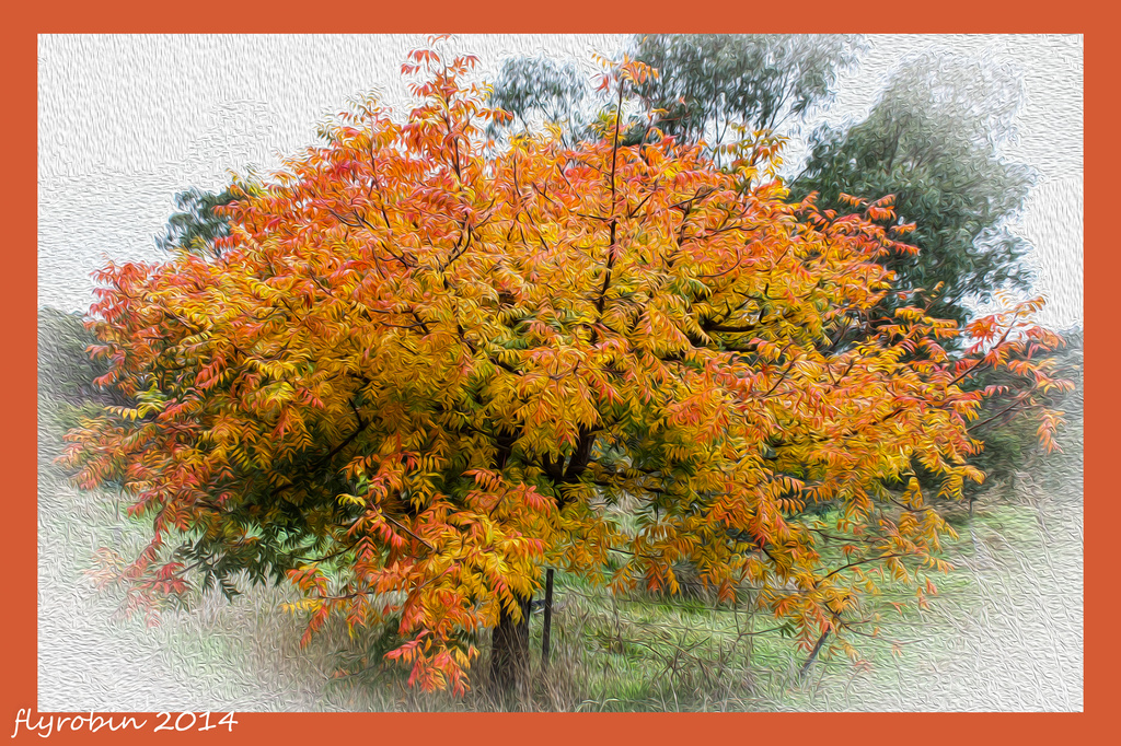 Autumn in oil colour by flyrobin
