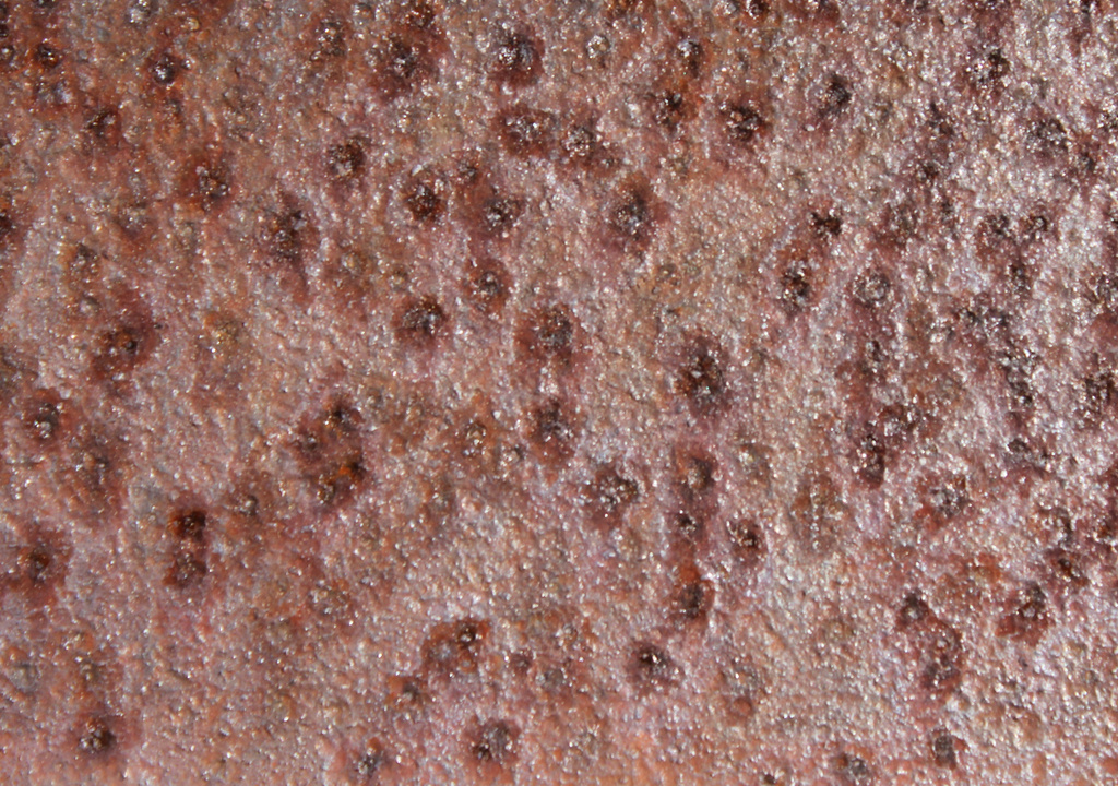 Rusty plate by randystreat