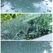 Raindrops by mozette