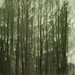ICM -  Haunted Forest by skipt07