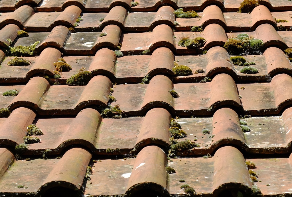roof tiles by quietpurplehaze
