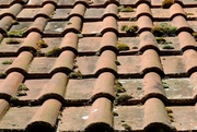 3rd May 2014 - roof tiles