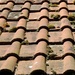 roof tiles by quietpurplehaze