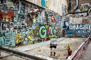 3rd May 2014 - Arte urbano / Urban Art