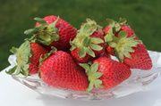 3rd May 2014 - Sweet as strawberries