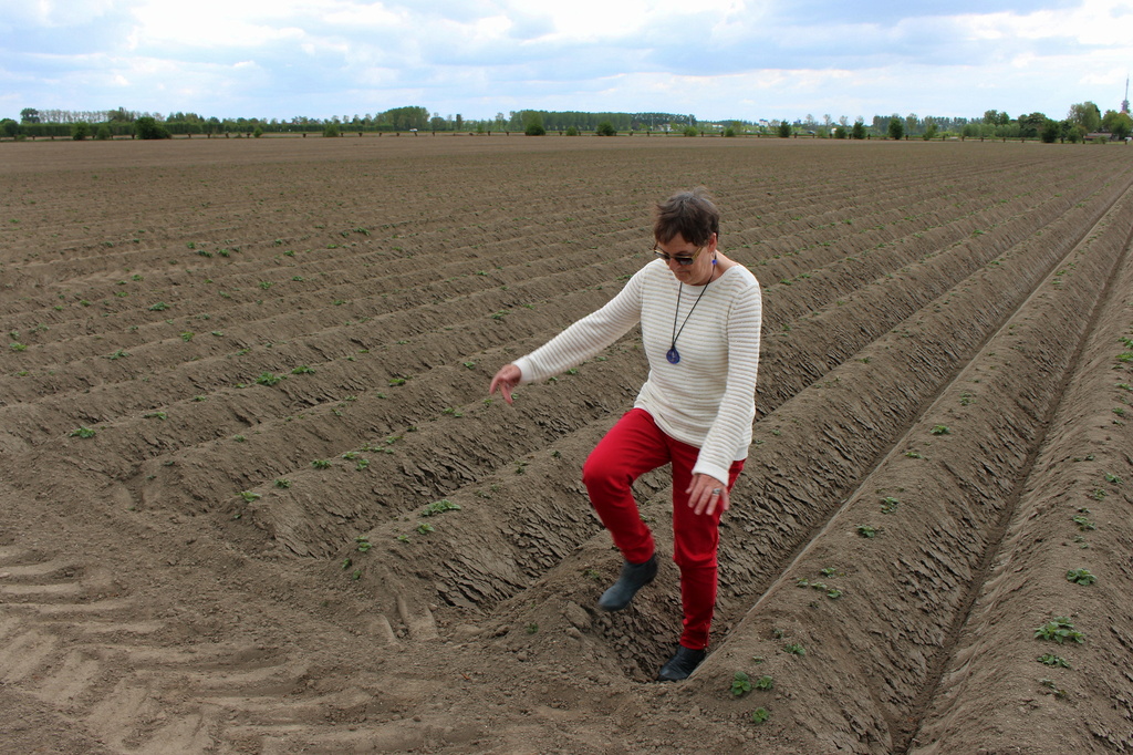 A beautiful Lady in a brand new potato field by pyrrhula