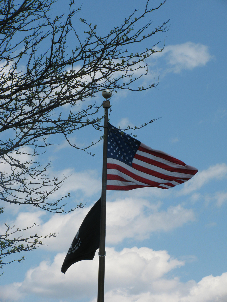 American Flag by april16