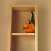 Phoenix on the shelf by alia_801