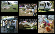 4th May 2014 - Tocal Agricultural College Field Day