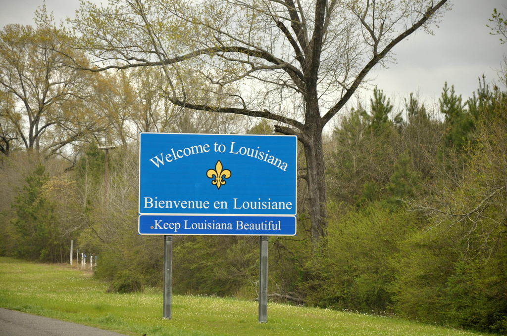 On to Louisiana by stownsend