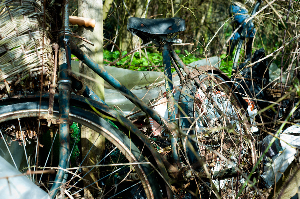Old bike in the brambles by tracybeautychick