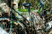 23rd Mar 2014 - Old bike in the brambles