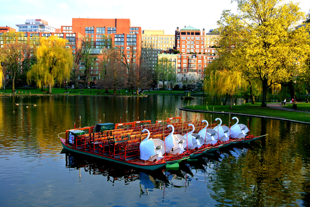 Swan Boats by kevin365
