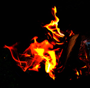 3rd May 2014 - Campfire