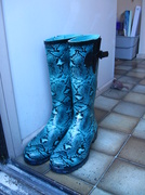 5th May 2014 - My Wellies