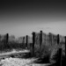 Dark fences by joemuli