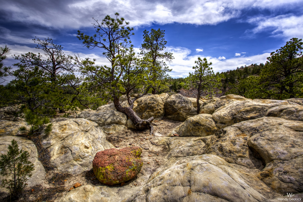 Beauty Amongst the Rocky Landscape by exposure4u