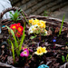 Basket flowers by tracybeautychick