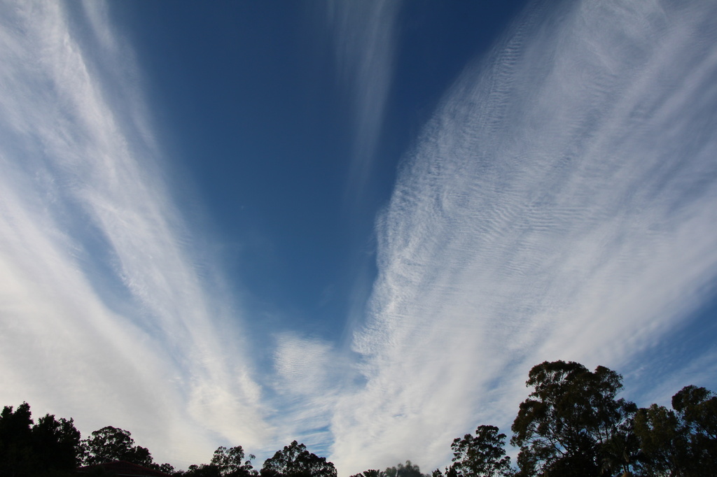 Driven Clouds by terryliv