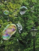 5th May 2014 - Bubbles