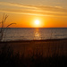 Sunrise on Lake Michigan by jyokota