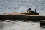 5th May 2014 - Dock Lounging