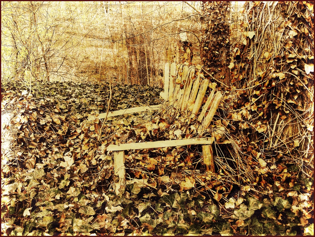 Garden Chair by olivetreeann