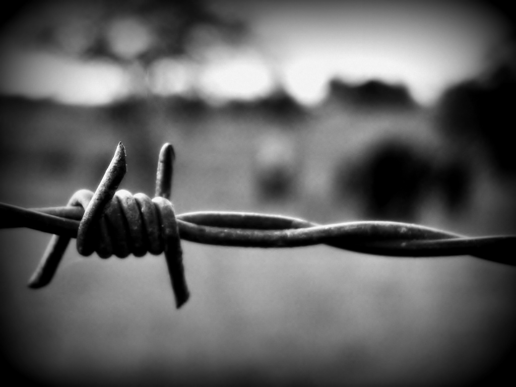 Fenced in by wenbow