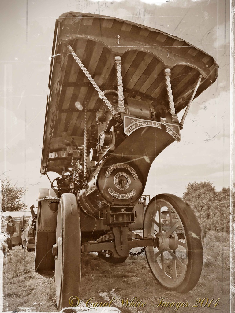 Steam Traction Engine by carolmw
