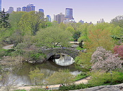 4th May 2014 - Central Park view!