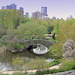 Central Park view! by homeschoolmom