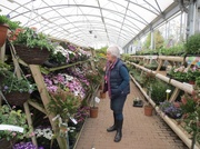6th May 2014 - At the garden centre