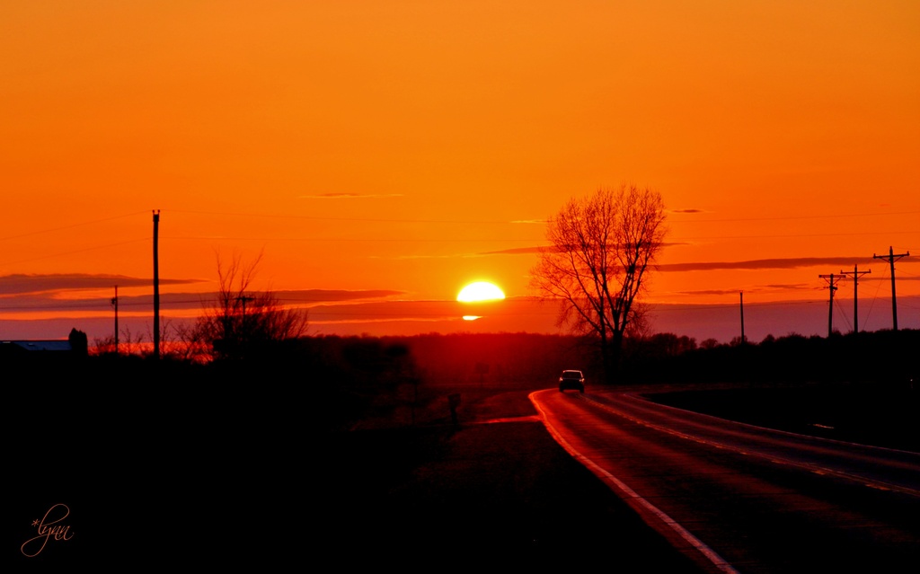 Sunset Journey by lynnz