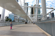 7th May 2014 - My Brisbane 19 - Kurilpa Bridge with Maggie