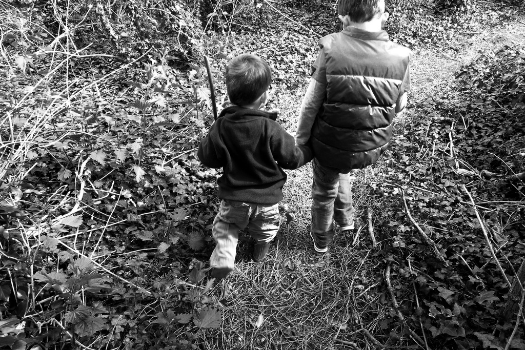 Exploring the woods, hand in hand. by newbank