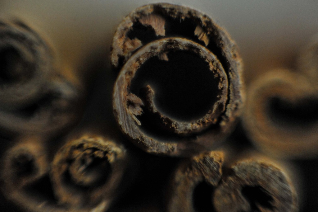 Cinnamon stick by loweygrace